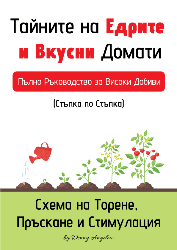 Тайните на Едрите и Вкусни Домати — Схема на Торене по Фази | PDF