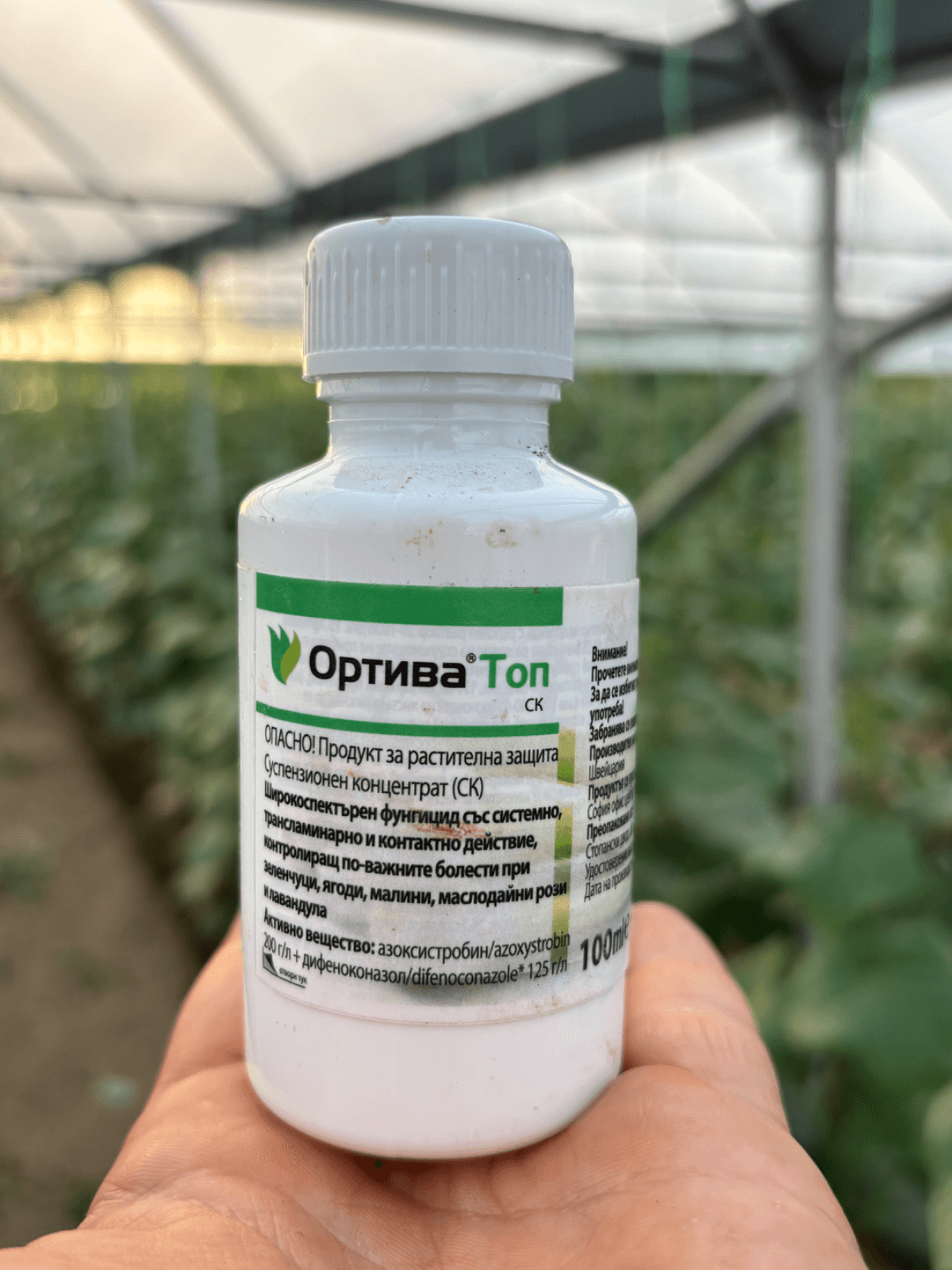 Близък план на Ортива Топ, фунгицид на Синджента, държан в ръка на фона на редове растения в оранжерия. Етикет с активни вещества азоксистробин и дифеноконазол.