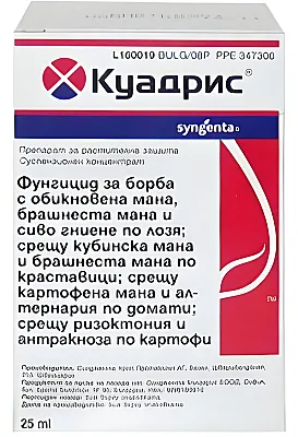 Куадрис 25 СК — Широкоспектърен фунгицид Syngenta