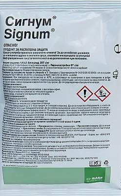 Сигнум ВГ — Комбиниран фунгицид BASF срещу сиво гниене