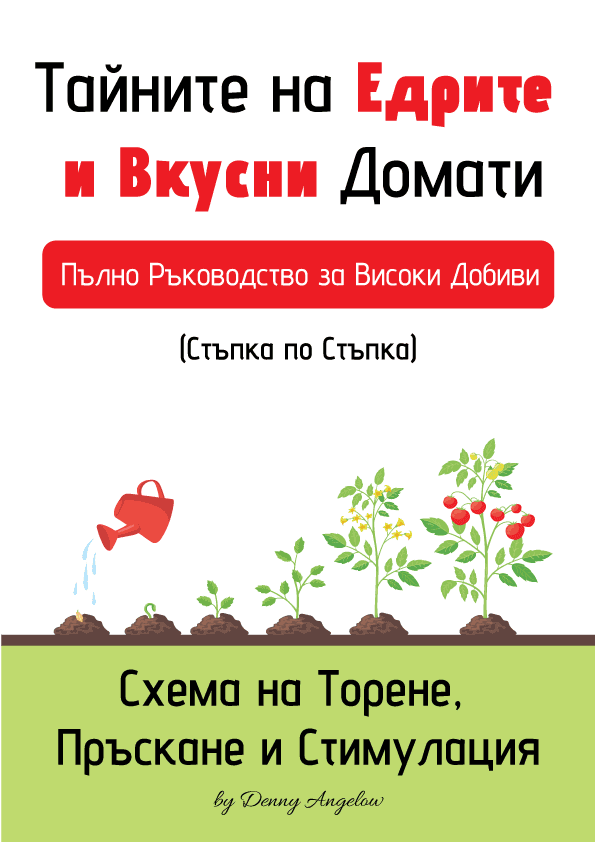 Тайните на Едрите и Вкусни Домати — Схема на Торене по Фази | PDF